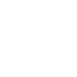 CentralAuth logo